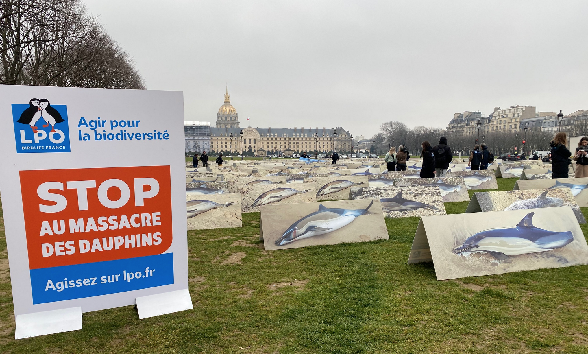 Captures de dauphins : le Président de la République se décide à agir !